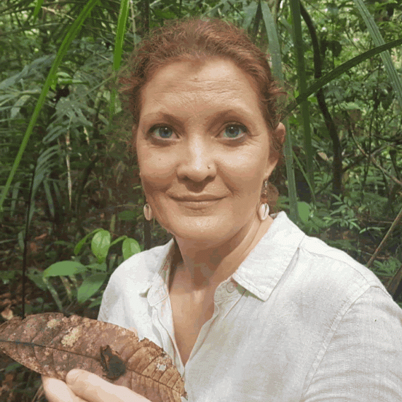 Gallery Amazon Jungle Show