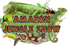 Amazon Jungle Show